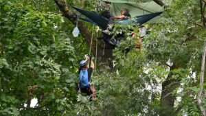 Des activistes écologistes condamnées pour avoir saboté un arbre centenaire dans le cadre d’un projet de LGV